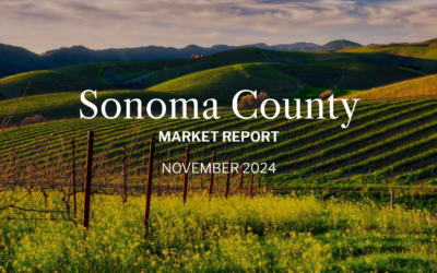 Sonoma County Market Update – November 2024